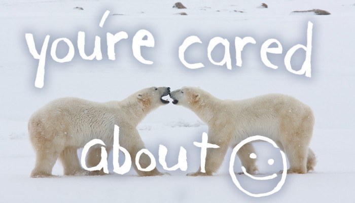 youre-cared-about-cards